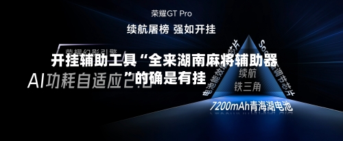 开挂辅助工具“全来湖南麻将辅助器	”的确是有挂-第3张图片