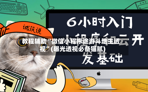 教程辅助“微信小程序途游斗地主透视”(曝光透视必备猫腻)