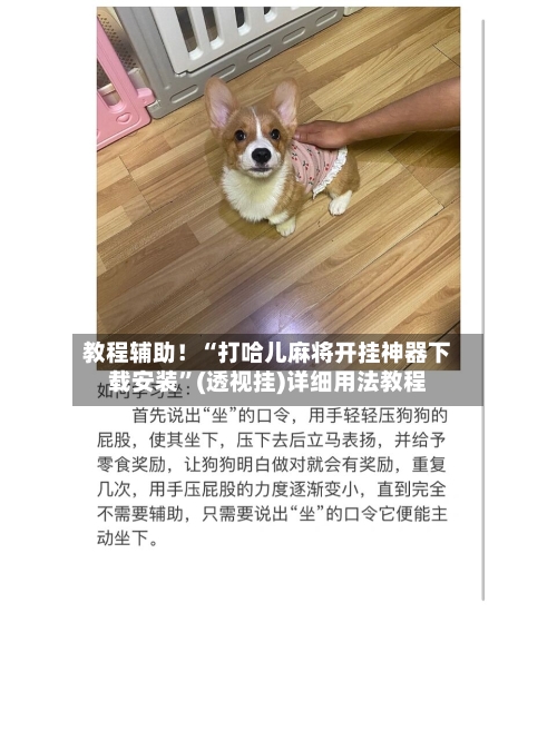 教程辅助！“打哈儿麻将开挂神器下载安装”(透视挂)详细用法教程