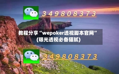 教程分享“wepoker透视脚本官网”(曝光透视必备猫腻)
