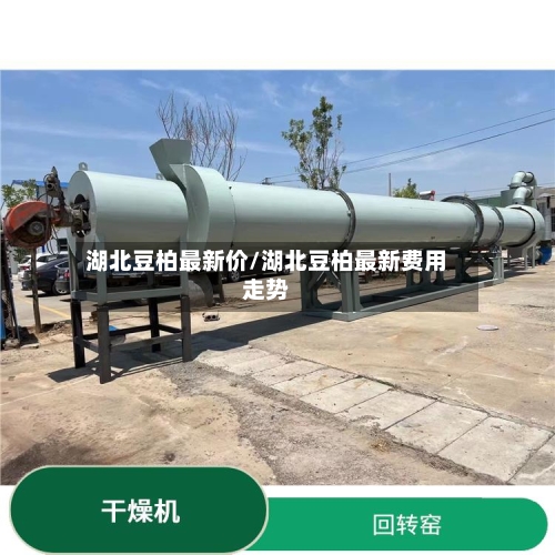湖北豆柏最新价/湖北豆柏最新费用走势