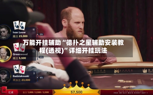 万能开挂辅助“德扑之星辅助安装教程(透视)”详细开挂玩法-第2张图片