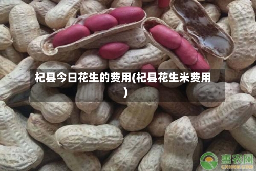 杞县今日花生的费用(杞县花生米费用)-第2张图片