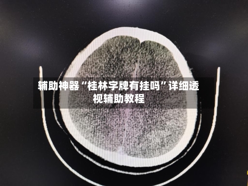 辅助神器“桂林字牌有挂吗”详细透视辅助教程-第3张图片