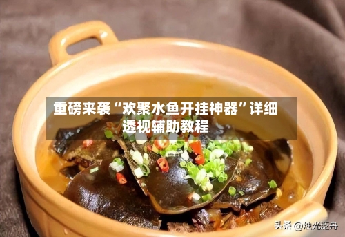 重磅来袭“欢聚水鱼开挂神器	”详细透视辅助教程-第2张图片