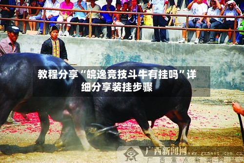 教程分享“皖逸竞技斗牛有挂吗”详细分享装挂步骤