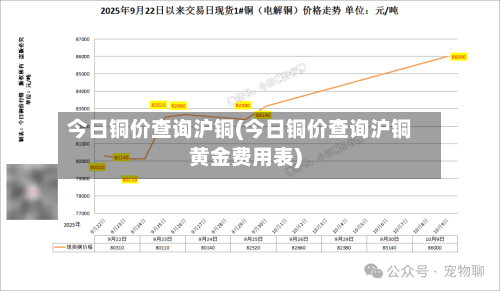 今日铜价查询沪铜(今日铜价查询沪铜黄金费用表)-第2张图片
