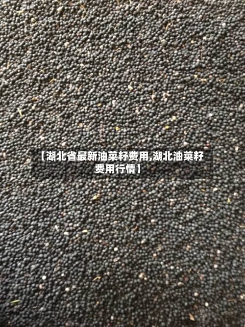 【湖北省最新油菜籽费用,湖北油菜籽费用行情】