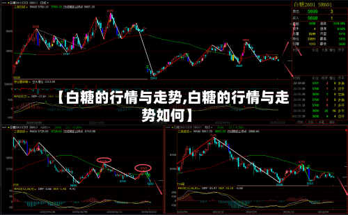 【白糖的行情与走势,白糖的行情与走势如何】-第2张图片