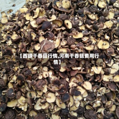 【西峡干香菇行情,河南干香菇费用行情】-第3张图片