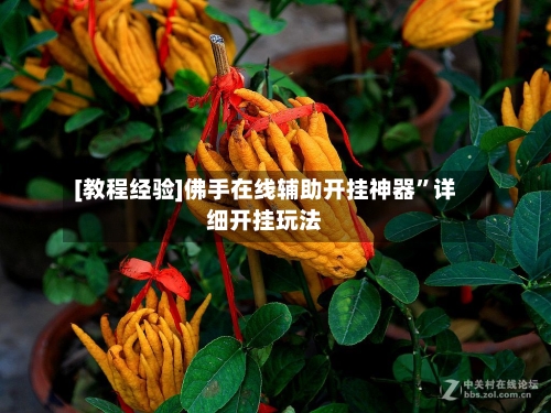 [教程经验]佛手在线辅助开挂神器”详细开挂玩法