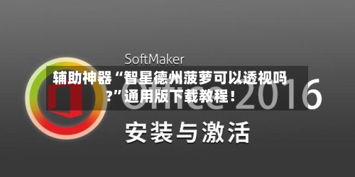 辅助神器“智星德州菠萝可以透视吗?”通用版下载教程！-第2张图片