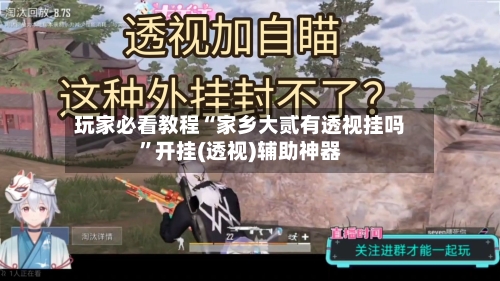 玩家必看教程“家乡大贰有透视挂吗”开挂(透视)辅助神器-第2张图片