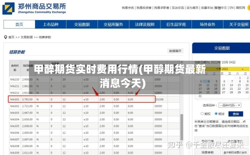 甲醉期货实时费用行情(甲醇期货最新消息今天)