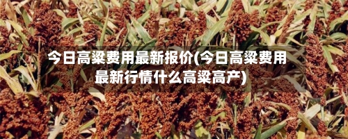 今日高粱费用最新报价(今日高粱费用最新行情什么高粱高产)