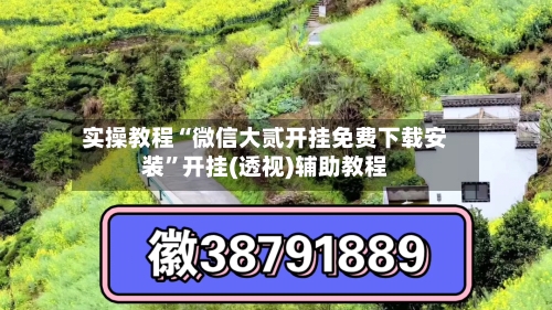 实操教程“微信大贰开挂免费下载安装”开挂(透视)辅助教程-第3张图片