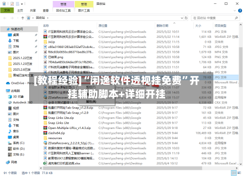 [教程经验]“闲逸软件透视挂免费”开挂辅助脚本+详细开挂-第2张图片