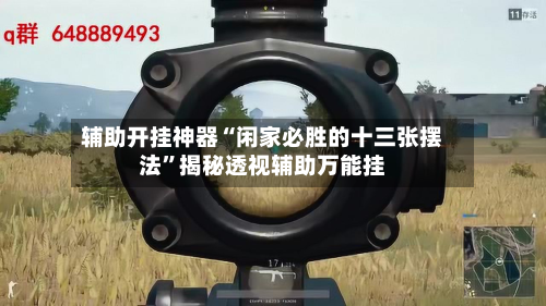 辅助开挂神器“闲家必胜的十三张摆法”揭秘透视辅助万能挂