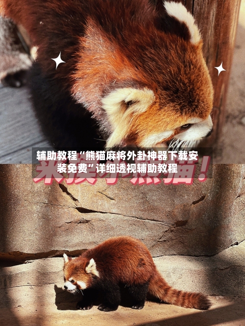 辅助教程“熊猫麻将外卦神器下载安装免费”详细透视辅助教程