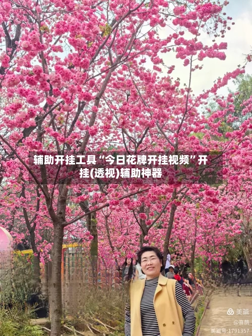 辅助开挂工具“今日花牌开挂视频	”开挂(透视)辅助神器-第2张图片
