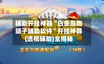 辅助开挂神器“白金岛跑胡子辅助软件	”开挂神器{透视辅助}全揭秘-第2张图片