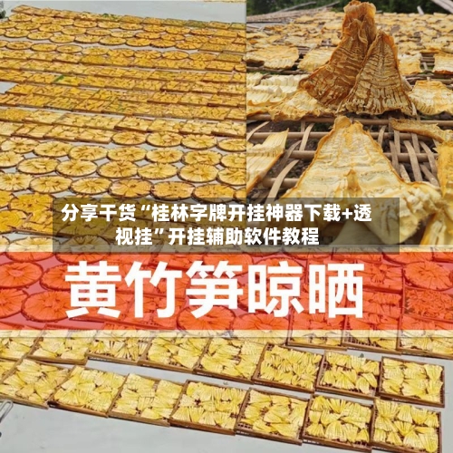 分享干货“桂林字牌开挂神器下载+透视挂”开挂辅助软件教程