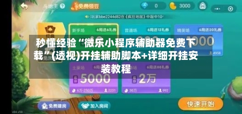 秒懂经验“微乐小程序辅助器免费下载”(透视)开挂辅助脚本+详细开挂安装教程-第2张图片