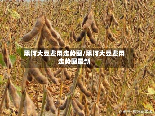 黑河大豆费用走势图/黑河大豆费用走势图最新-第2张图片