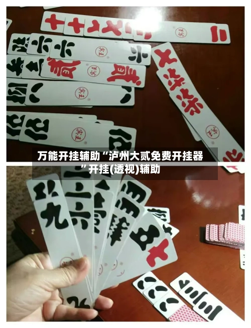 万能开挂辅助“泸州大贰免费开挂器”开挂(透视)辅助