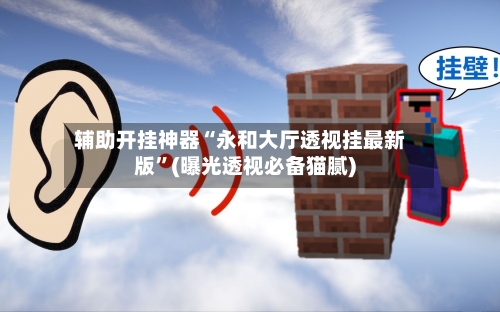 辅助开挂神器“永和大厅透视挂最新版	”(曝光透视必备猫腻)-第2张图片
