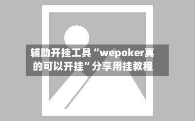 辅助开挂工具“wepoker真的可以开挂”分享用挂教程-第3张图片