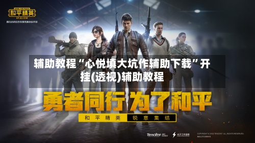 辅助教程“心悦填大坑作辅助下载”开挂(透视)辅助教程-第2张图片