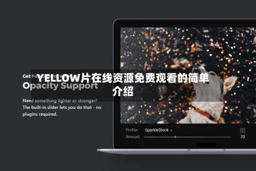 YELLOW片在线资源免费观看的简单介绍-第2张图片