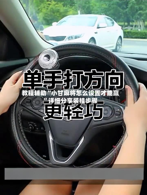 教程辅助“小甘麻将怎么设置才能赢	”详细分享装挂步骤-第3张图片