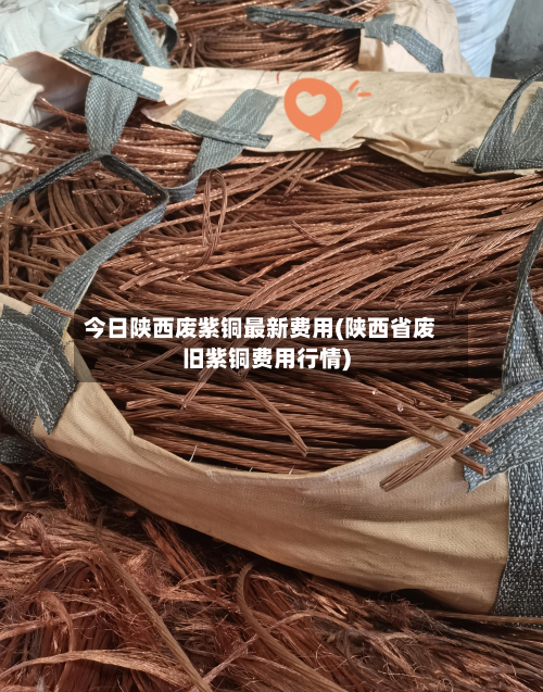 今日陕西废紫铜最新费用(陕西省废旧紫铜费用行情)