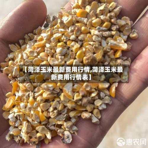 【菏泽玉米最新费用行情,菏泽玉米最新费用行情表】