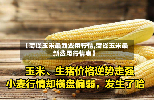 【菏泽玉米最新费用行情,菏泽玉米最新费用行情表】-第3张图片