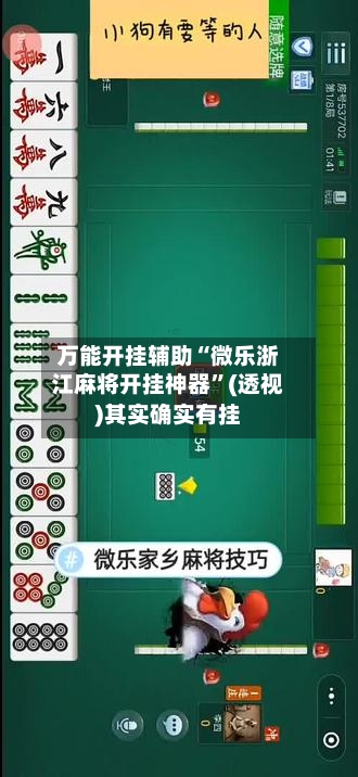 万能开挂辅助“微乐浙江麻将开挂神器”(透视)其实确实有挂-第3张图片