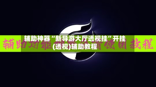 辅助神器“新导游大厅透视挂	”开挂(透视)辅助教程-第2张图片