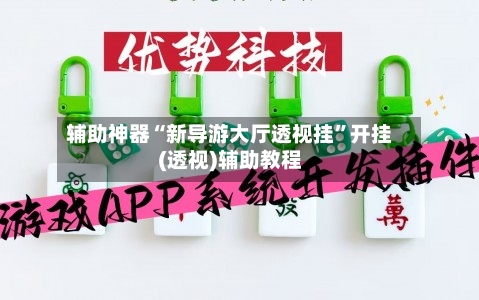 辅助神器“新导游大厅透视挂”开挂(透视)辅助教程-第3张图片