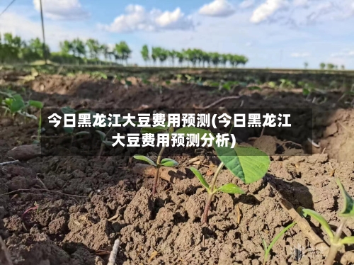 今日黑龙江大豆费用预测(今日黑龙江大豆费用预测分析)