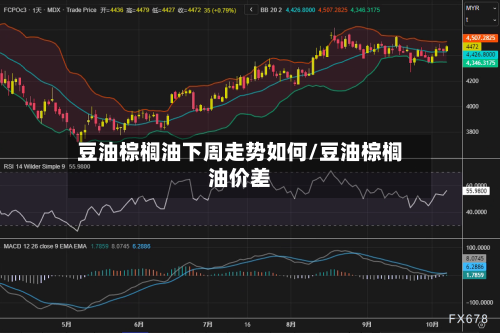豆油棕榈油下周走势如何/豆油棕榈油价差