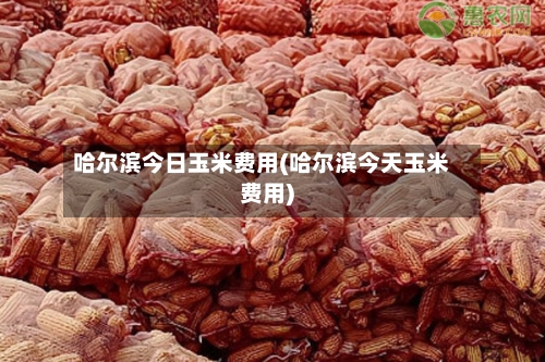 哈尔滨今日玉米费用(哈尔滨今天玉米费用)-第2张图片
