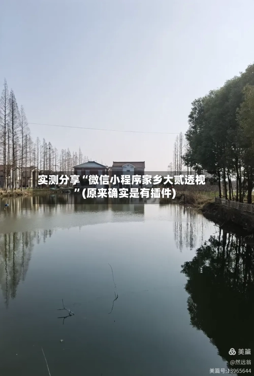 实测分享“微信小程序家乡大贰透视”(原来确实是有插件)-第3张图片