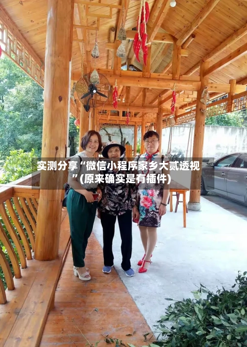 实测分享“微信小程序家乡大贰透视	”(原来确实是有插件)-第2张图片