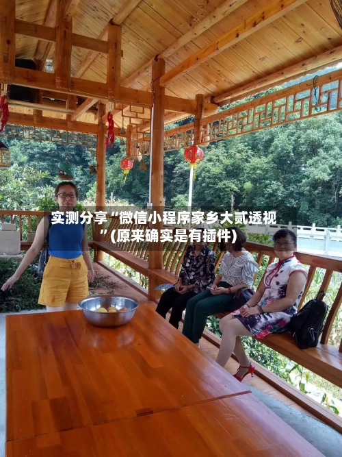 实测分享“微信小程序家乡大贰透视”(原来确实是有插件)