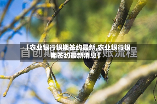 【农业银行银期签约最新,农业银行银期签约最新消息】-第2张图片