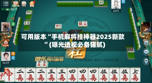 可用版本“手机麻将挂神器2025新款”(曝光透视必备猫腻)-第3张图片