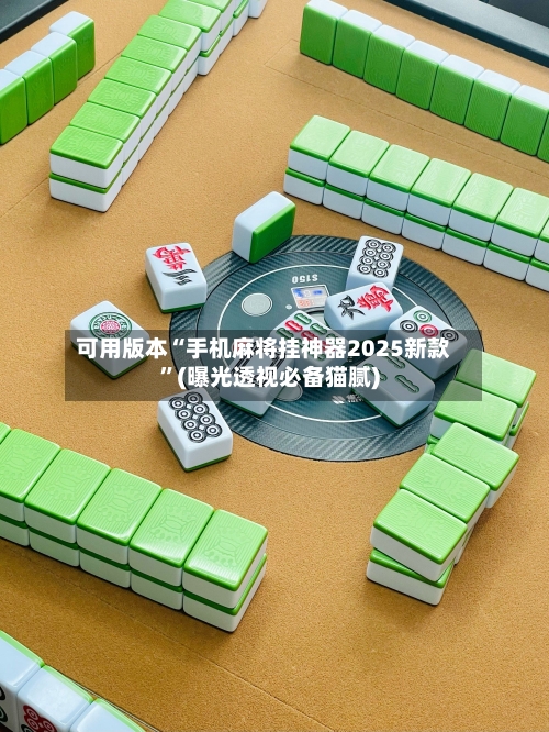 可用版本“手机麻将挂神器2025新款”(曝光透视必备猫腻)