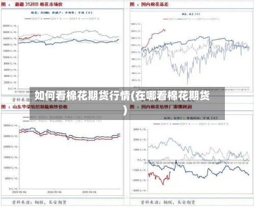 如何看棉花期货行情(在哪看棉花期货)-第1张图片